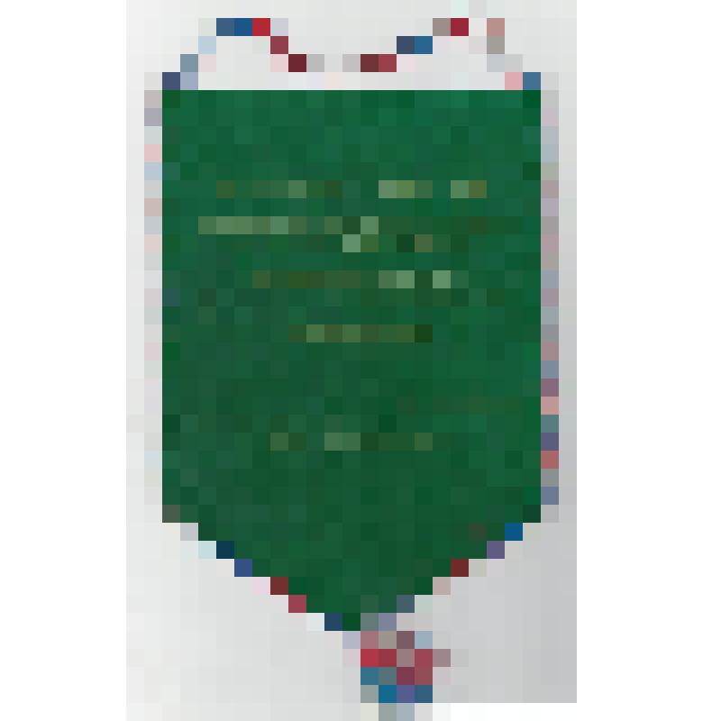 Знамена, флаги, вымпела. Вымпел пятиугольной формы, изготовлен из ткани, по краям окантован трехцветным сине-бело-красным шнуром. На лицевой стороне изображено здание центрального музея Вооруженных Сил и военные атрибуты, на оборотной стороне распорядок р