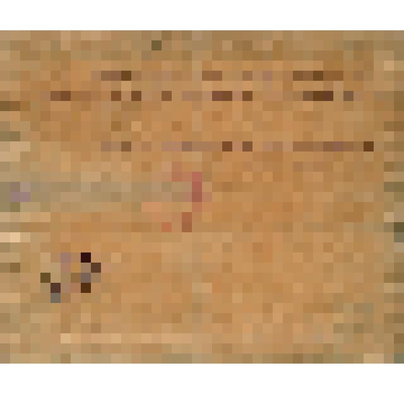 Удостоверение на сбор пожертвований на нужды рабочего движения