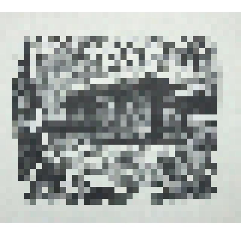 "Здание, где проходило первое заседание группы РСДРП в 1917 г. г. Череповец". Гравюра