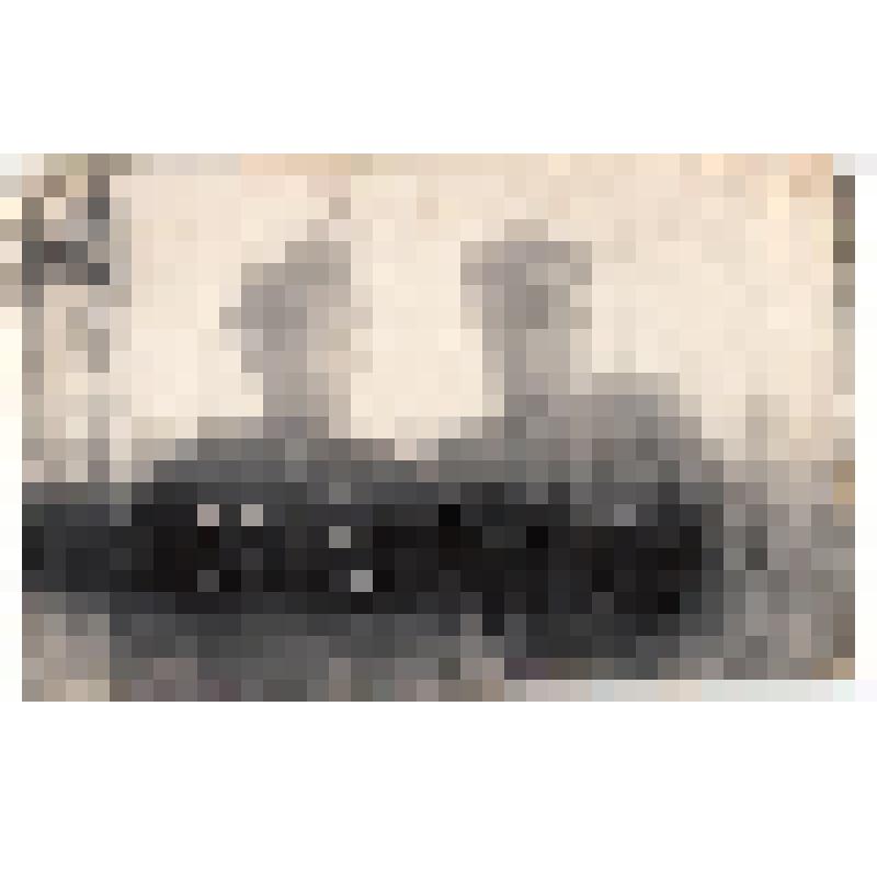 Ф/чб. Бойцы 326-го артиллерийского полка 148-й стрелковой дивизии. Командир дивизиона Барский, зам. по политчасти Клочков. Чехословакия. 25.05.1945