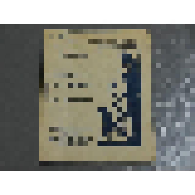 «Детский поход на взрослых» А.С. Шоломович