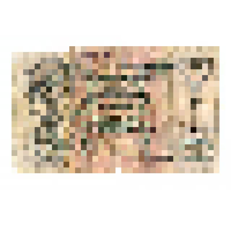 Бумажный денежный знак. Денежный знак Двадцать пять рублей