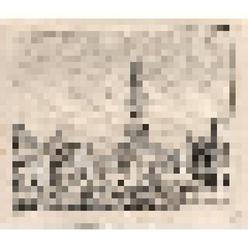 Гравюра. Grand’ Place de Bruges en 1844. Большая площадь в Брюгге в 1844г