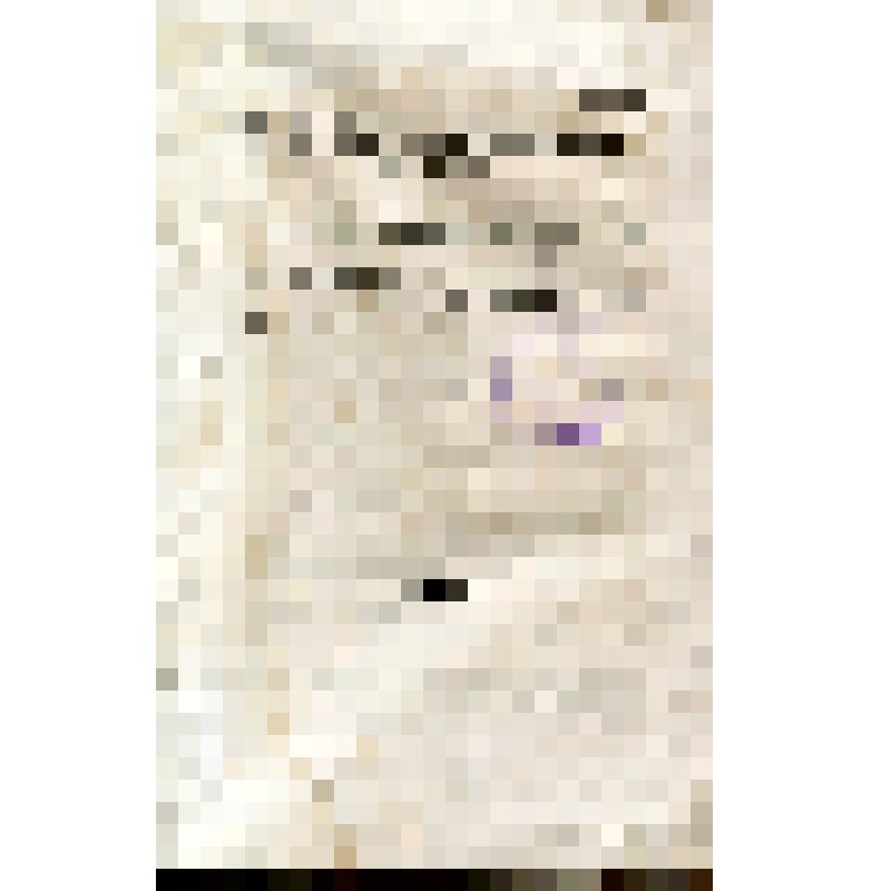 Книга: журнал "Отечетвенные записки", февраль, 1862 г. (фрагмент - А. Радонежский. Значение Кольцова при первоначальном обучении)