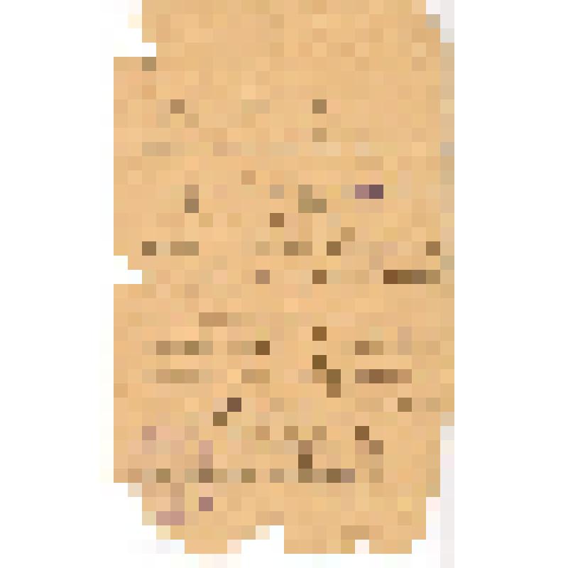 Билет