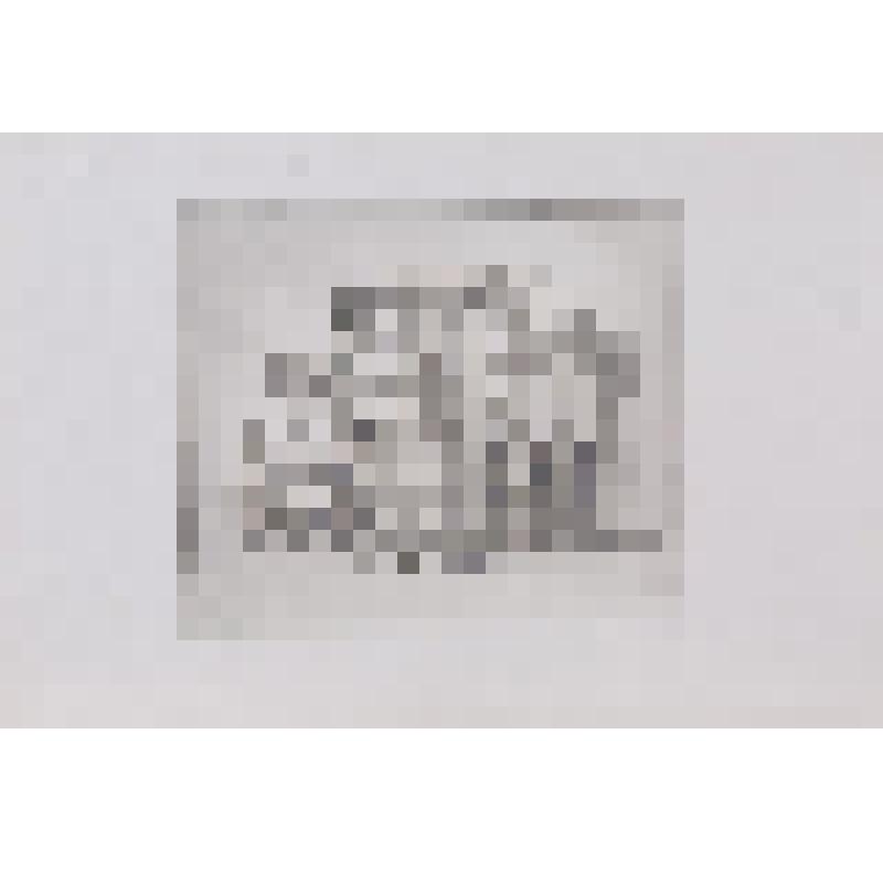 После лицея. Гравюра