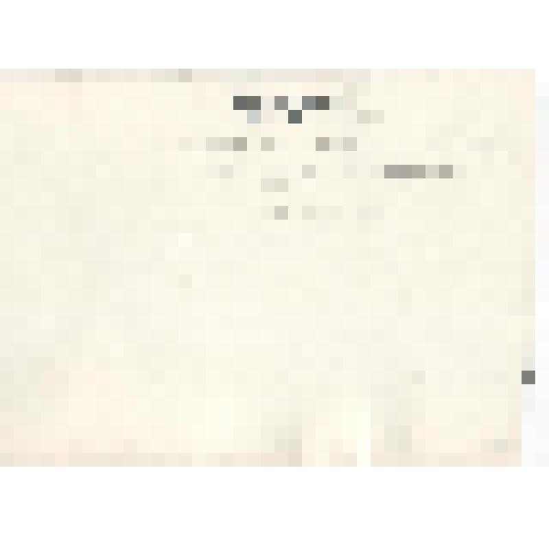 Фотография. Встреча ветеранов войны на Киришском НПЗ