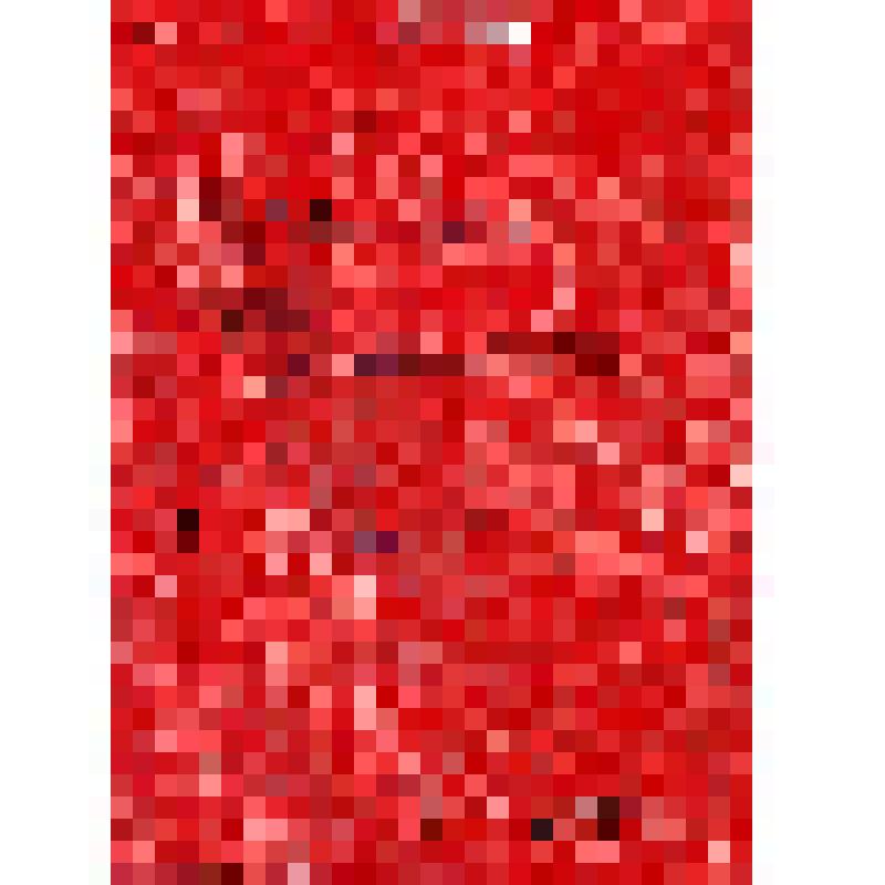 Фотокопия (погрудная). Галиева А.А