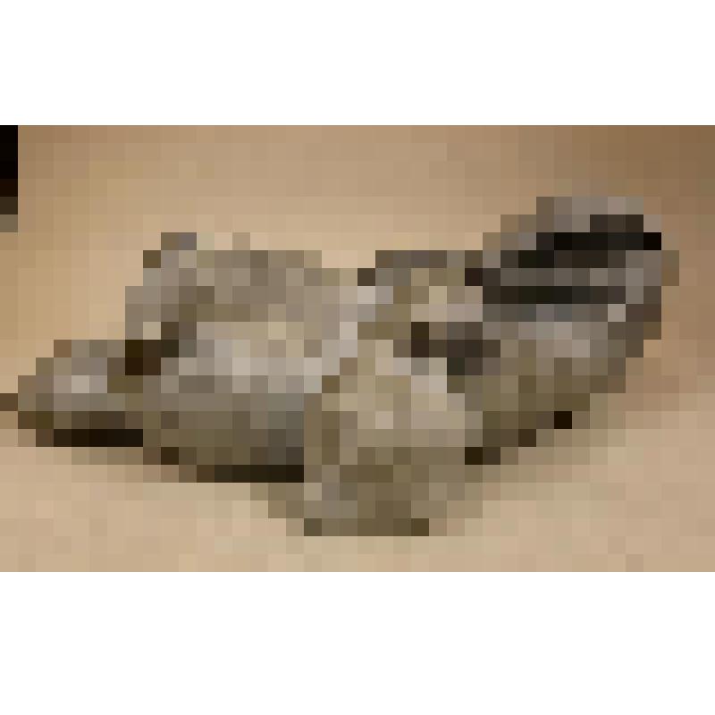 Скульптура "Барсучиха"