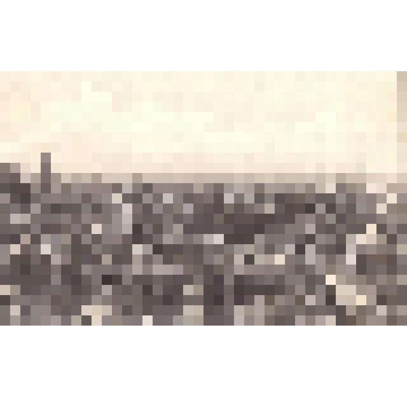 Открытка. Без названия. [Часть города. Вид сверху]