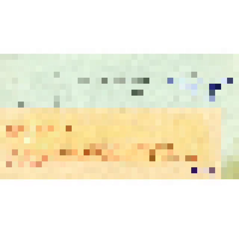 Телеграмма "Телеграмма Мишакову В. Н."