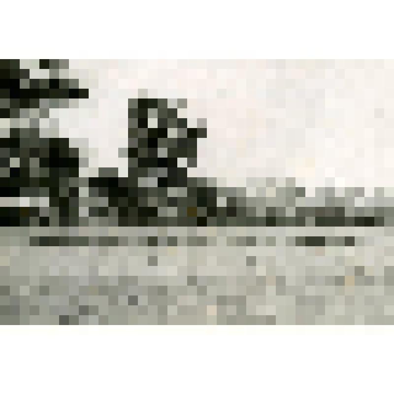 Фотография. Село Измайлово. Вид на церковь Рождества Христова