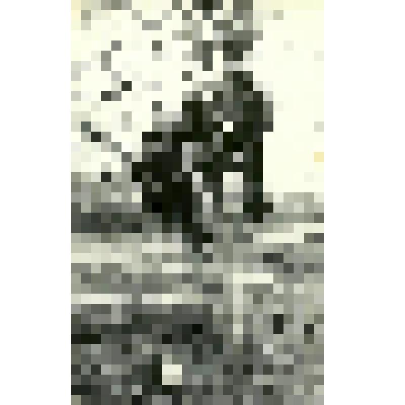 Фотография. "Все выше"