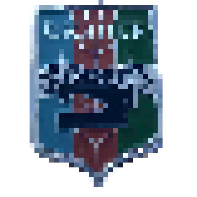 Знак сувенирный. Оханск (герб образца 1980 года)