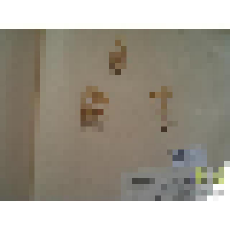 Очиток едкий (Sedum acre L.)