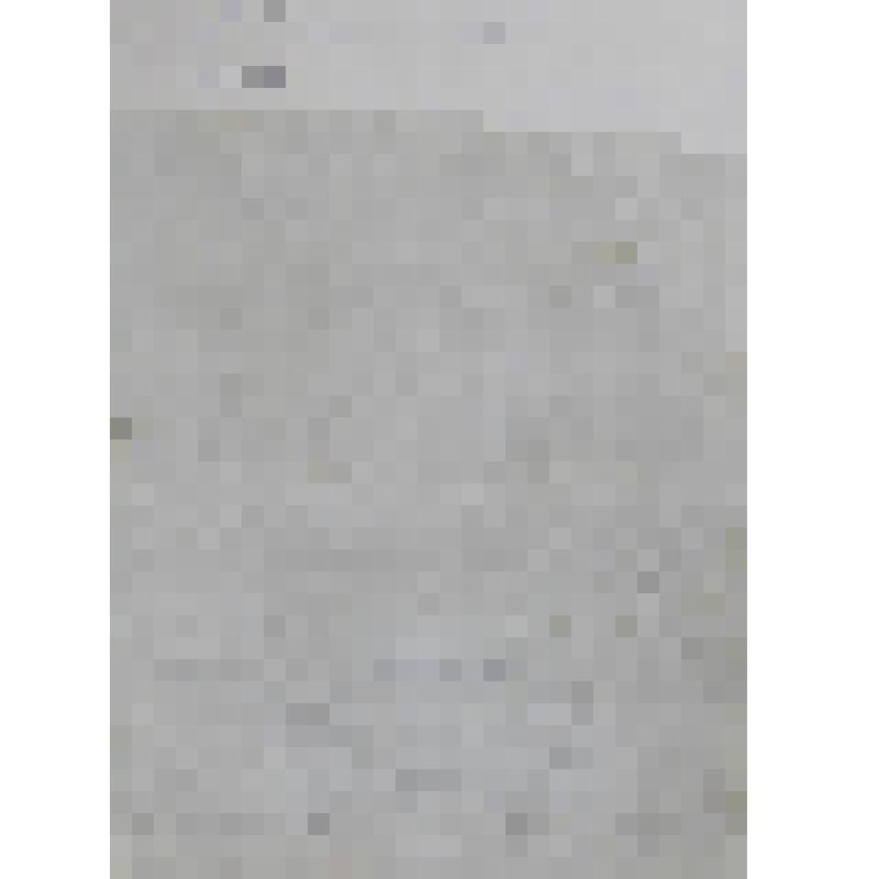 Портрет Маттиуса Тиллингиуса, профессора медицины