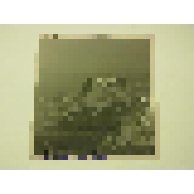 Декоративный ансамбль "Древо жизни" на пограничном переходе Красный мост. Грузия. Декоративный ансамбль "Древо жизни" на пограничном переходе Красный мост. Общий вид