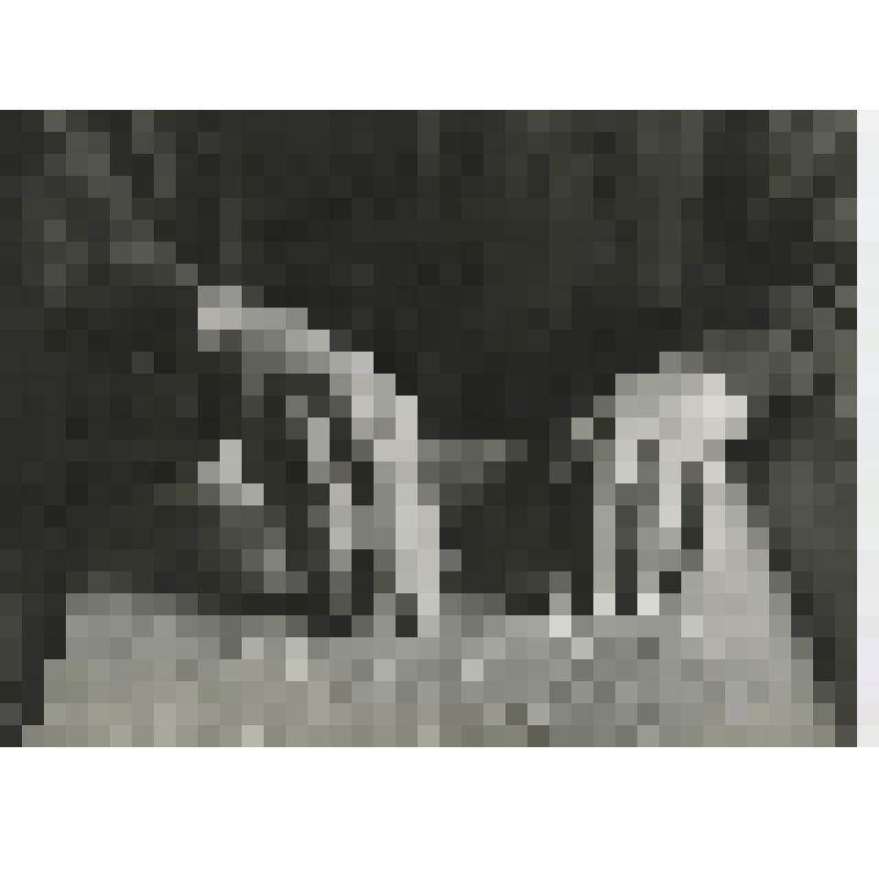 Фотография. Азбука Брайля