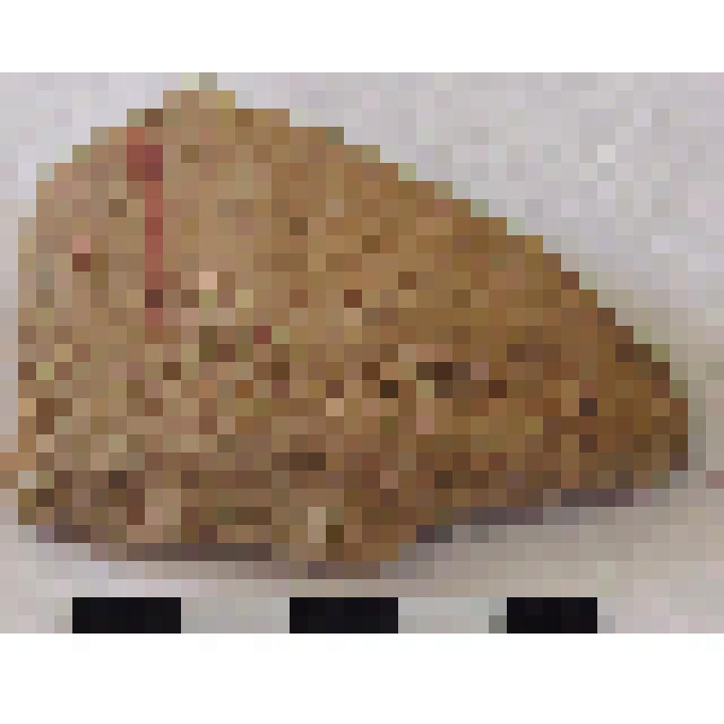 Фрагмент плеча амфоры типа D с дипинто