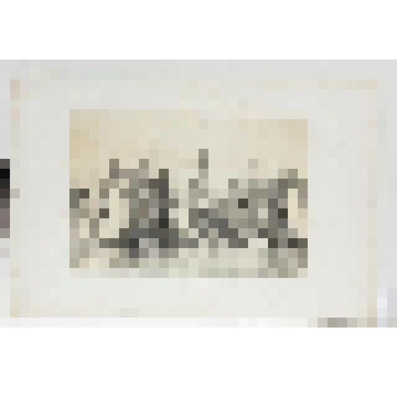 Литография. "Гамбург. Большой док."