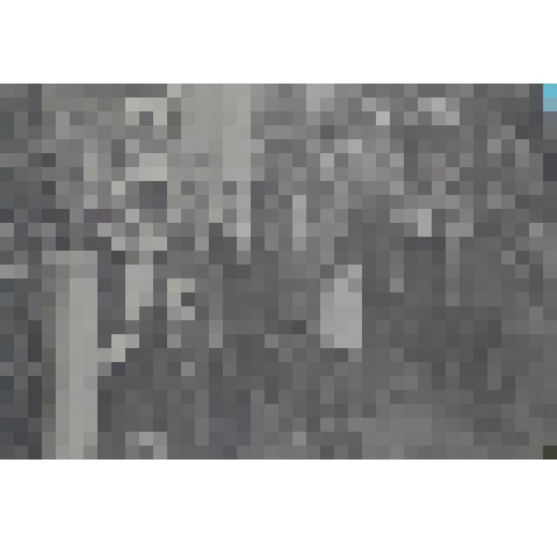 Фотография. «На кладбище: у могил татарских писателей». Из набора фотографий «По следам Ленина»