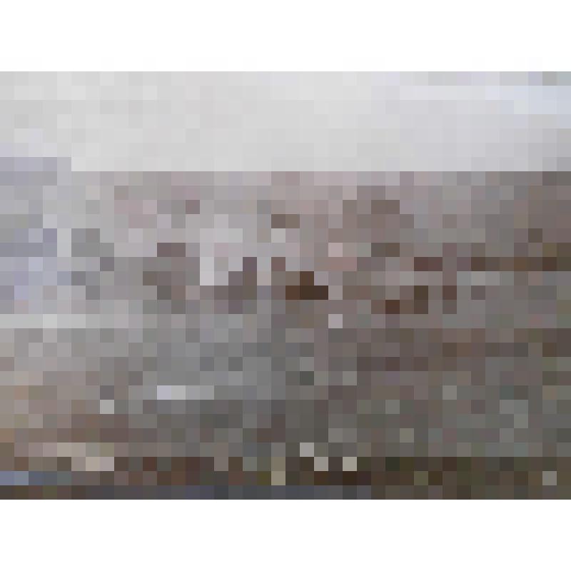 Пачинарский мост. Иран, Пули-Пачинар. Дорога между городами Решт и Тегеран. Пачинарский мост. Общ. вид. Д.И. Ермаков