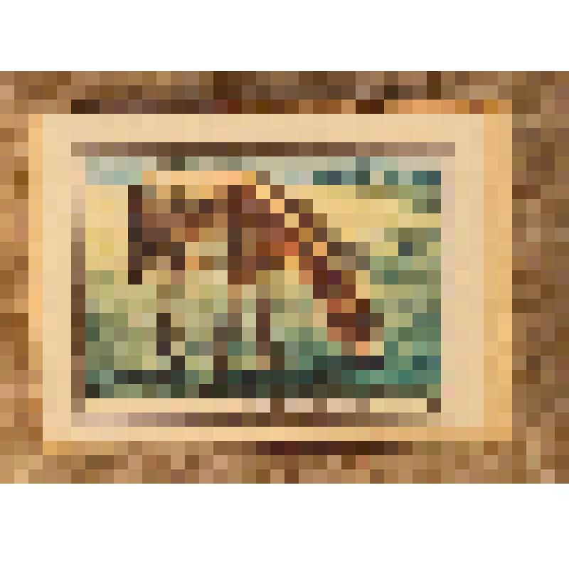 Коробок спичечный сувенирный "Туркменский кулан", из набора спичек сувенирного "Занесены в Красную Книгу СССР". 1982 г