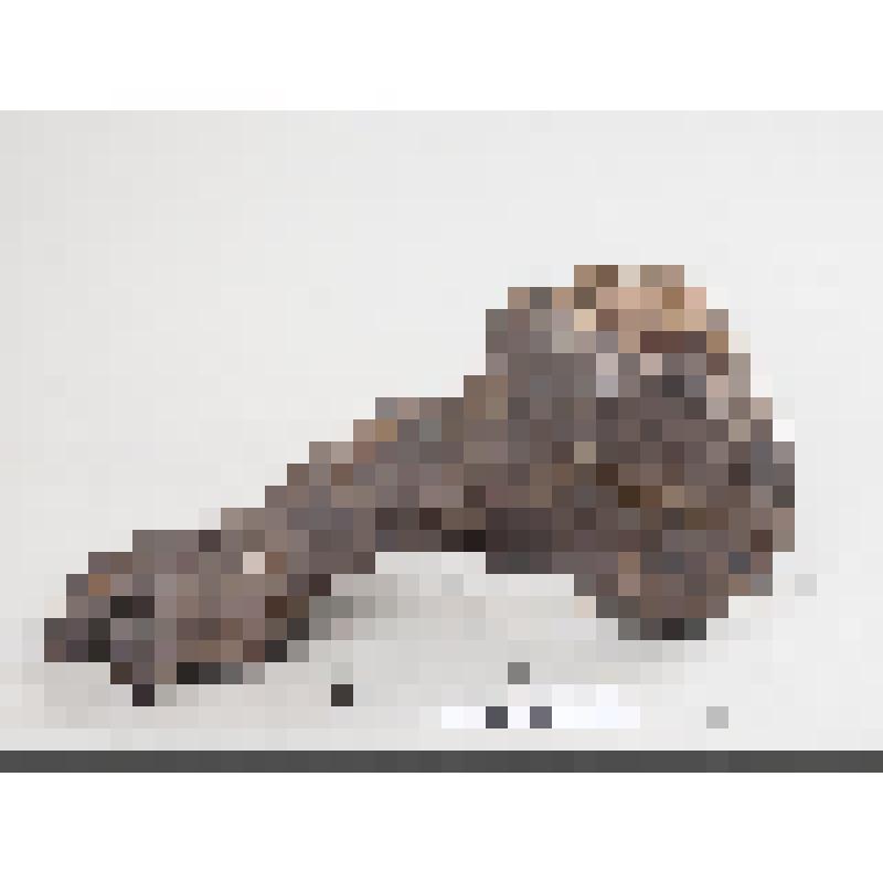 Ступня мумии