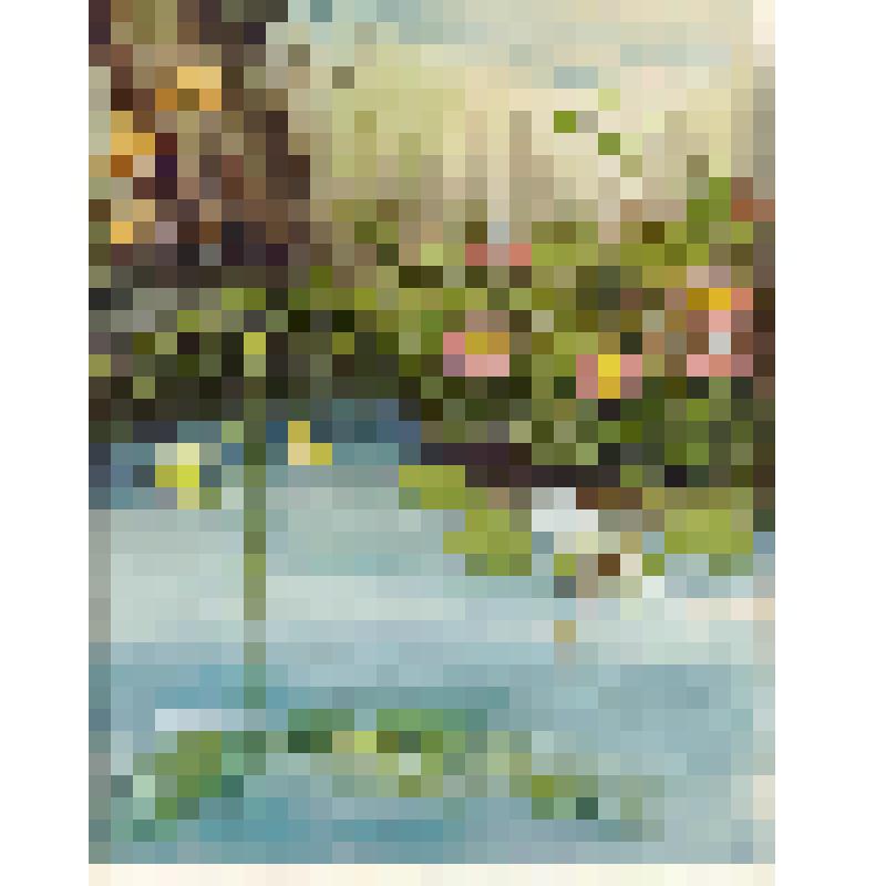 Росянка, пузырчатка. Иллюстрация к книге А. Тамбиева "Кто на болоте живёт?"