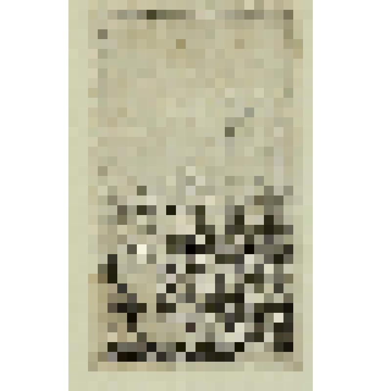 Иллюстрация 4 к поэме Бартоломео Боккини "Le pazie de' savi, o vero il Lambertaccio", гравюра