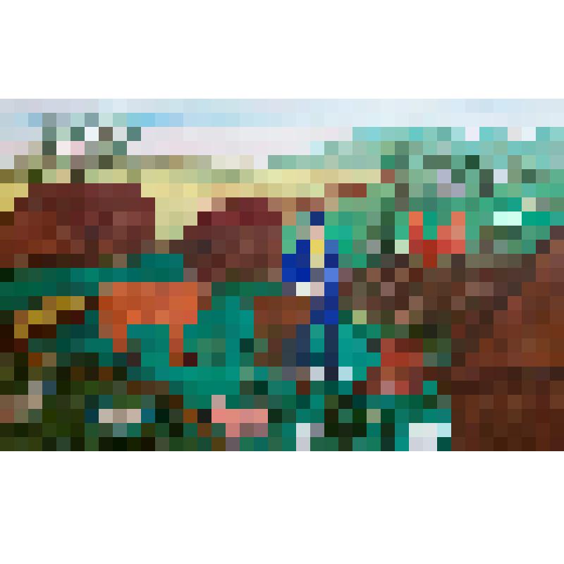 Чужая студия. Картина