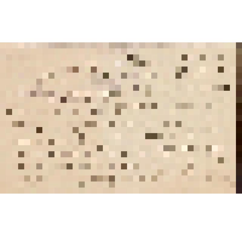 Черневский Сергей Антипович (режиссер). Письмо к Кондратьеву Алексею Михайловичу о репертуаре Малого театра на ноябрь 1896 г. Москва, Императорский Малый театр