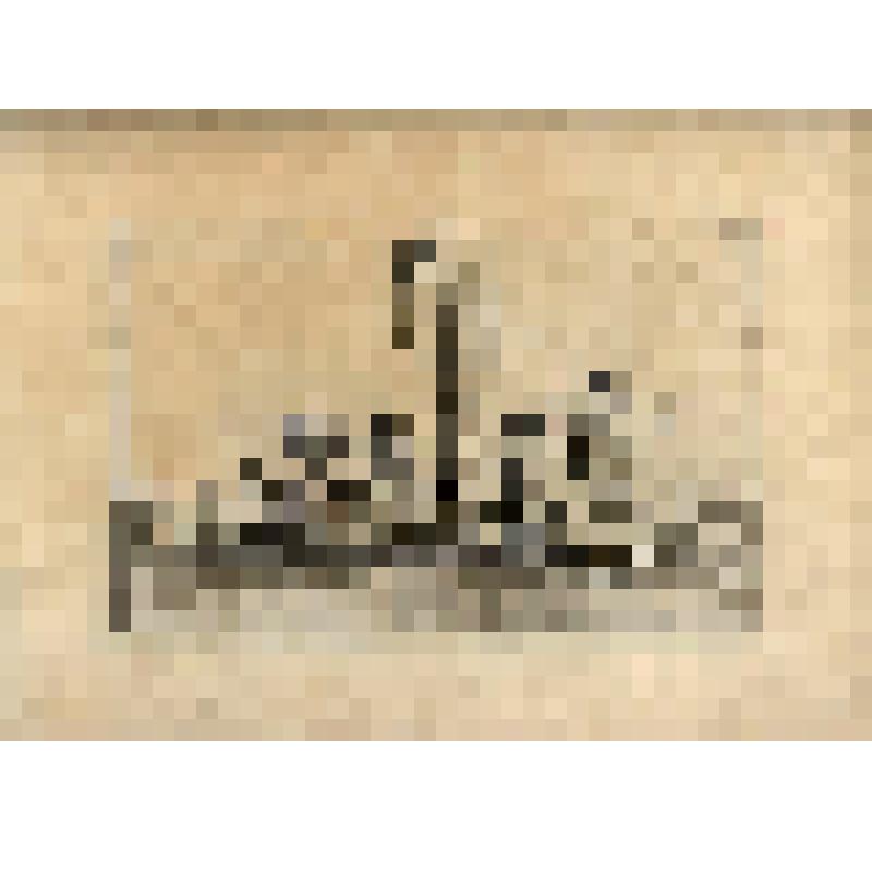 Tritons et Nauades. (Фонтан "Тритоны и Наяды" (№ 145) - лист из альбома: «Recueil des statues, groupes, fontaines, termes, vases, et autres magnifiques ornaments du Chateau & Parc de Versailles.» T. I-IV. (Собрание фигур, групп, терм, фонтанов, ваз, стату