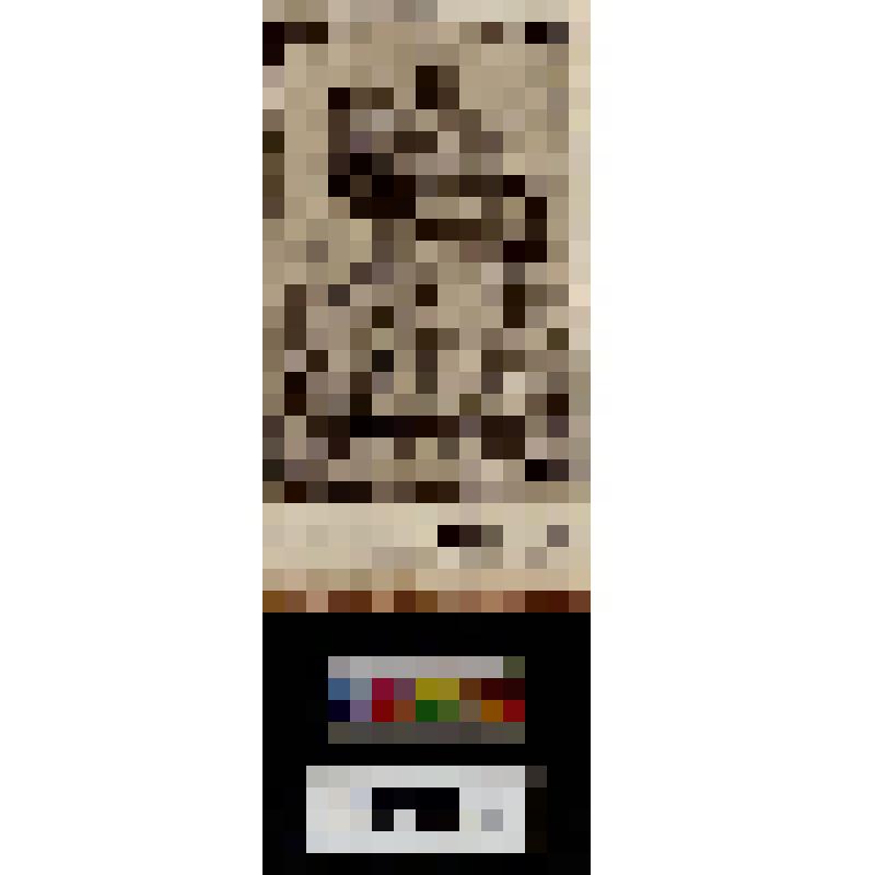 Слух. «Auditus t'аyehoor»