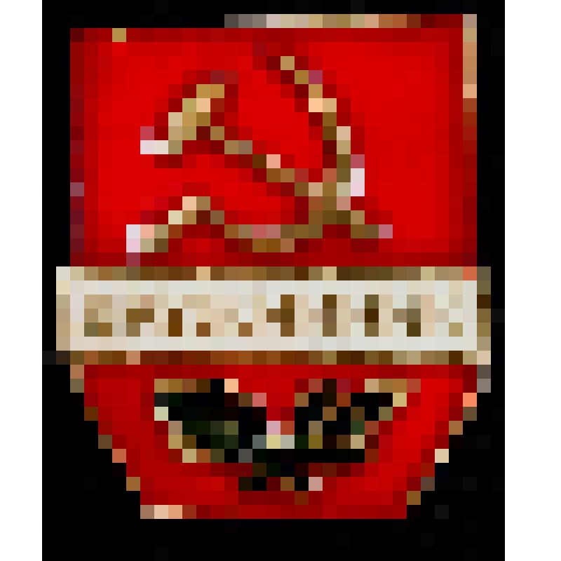 Значок "Дружинник" Карина А. С