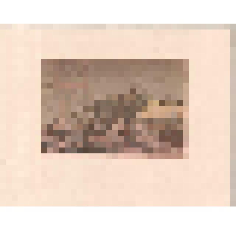 Монтаж баржи. Из серии «Киев-Днепр»