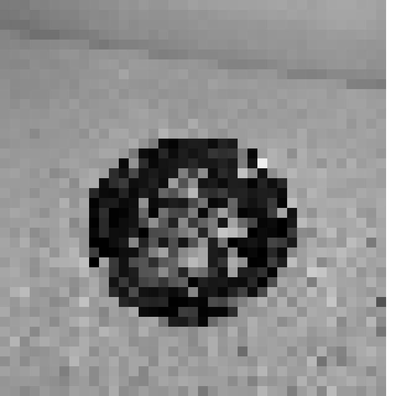 Негатив. Автор Гогин А.П. Тарелка "Маки". Железо, масло, лакировка. Диаметр: 30 см. Жостовская фабрика декоративной росписи, Мытищинский р-н, Московская область. Середина ХХ в. Материалы из коллекции "Фототека НИИХП"