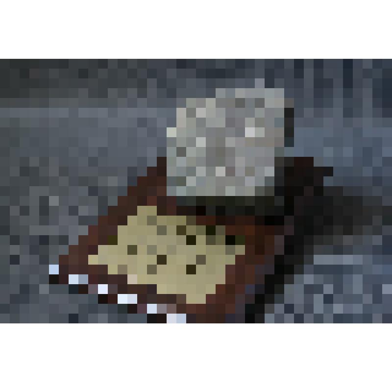 Сувенир. Камень на закладку начала строительства шахты "Южная" холдинга "СДС-Уголь" (Кемеровский район, Глушинское каменноугольное месторождение)