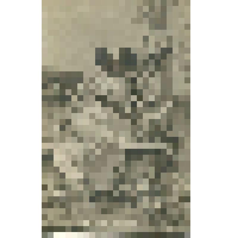 Карточка почтовая «Девушка и амур»