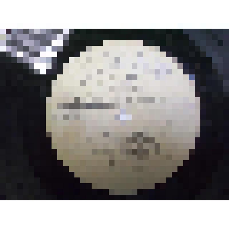 Пластинка виниловая. Владимир Трошин. Ташкентский завод. Всесоюзная фирма грампластинок "Мелодия"