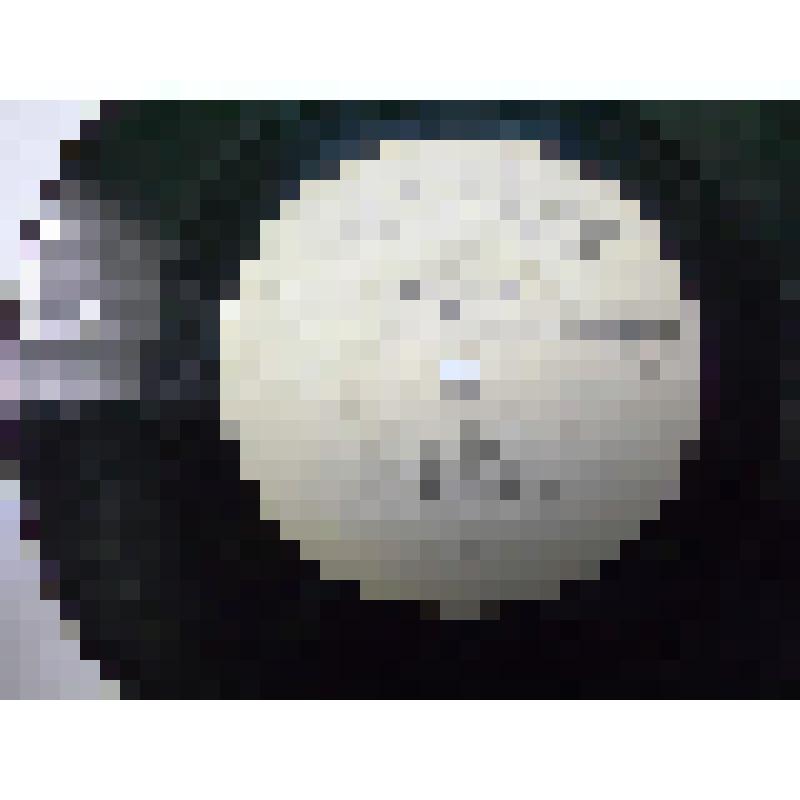 Пластинка виниловая. Владимир Трошин. Ташкентский завод. Всесоюзная фирма грампластинок "Мелодия"