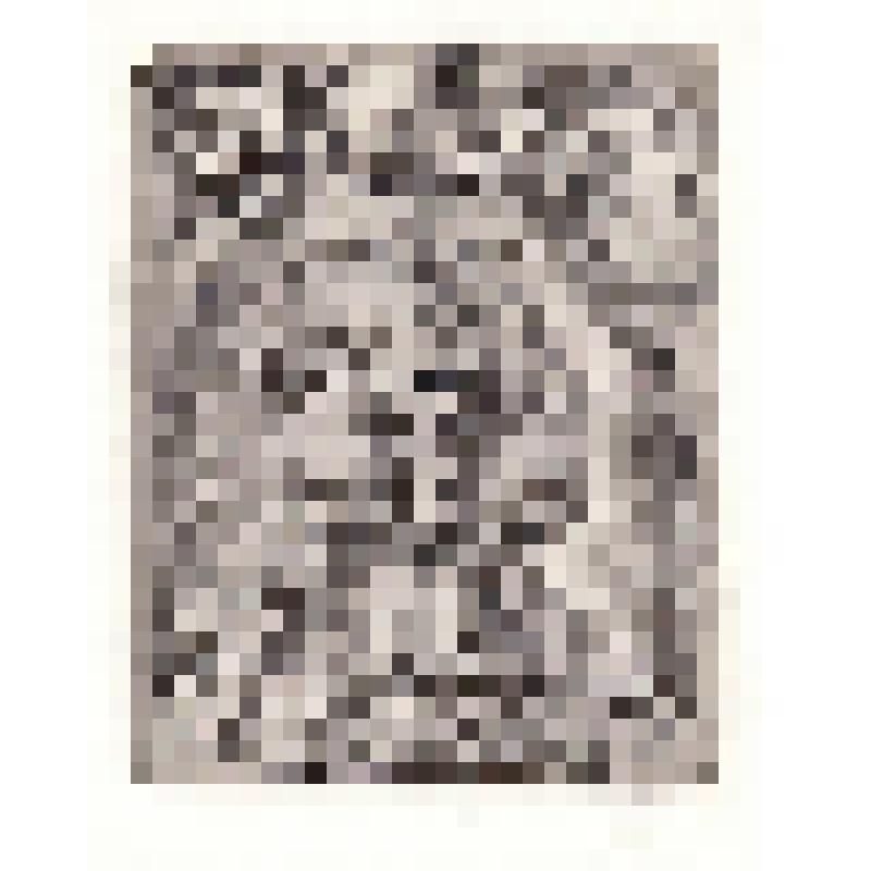 Экслибрис "Ex Libris Е.Н. Минаева"