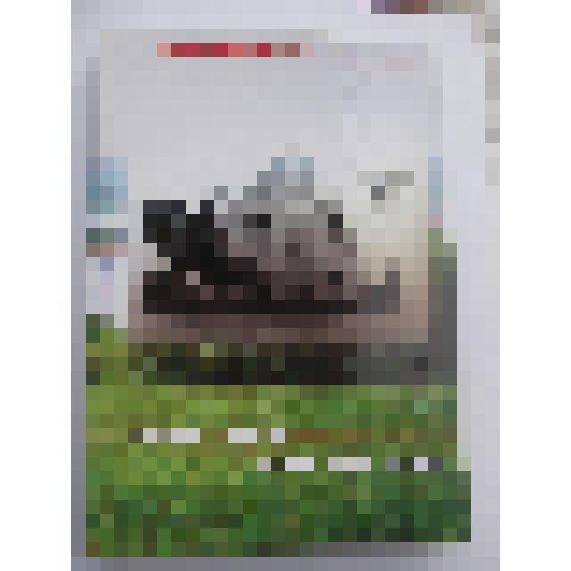 Сборник «Пою тебя, моя Россия», Турченков Н.С., 2013г, г.Калач н/Д