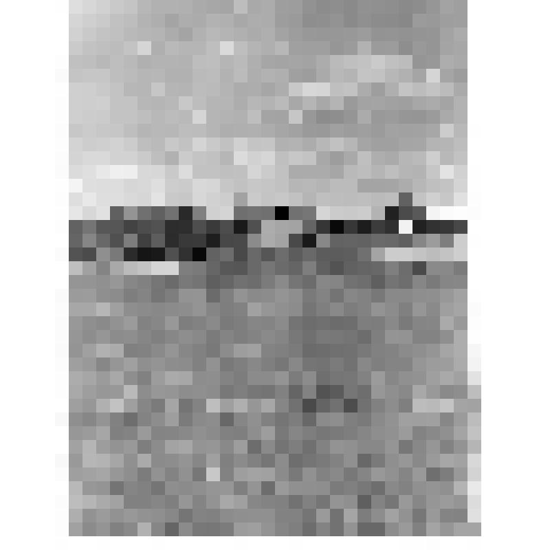 Фотография из фотоальбома краеведа Б.А.Сокольского (1899-1976). Вид на поселок Первомайский