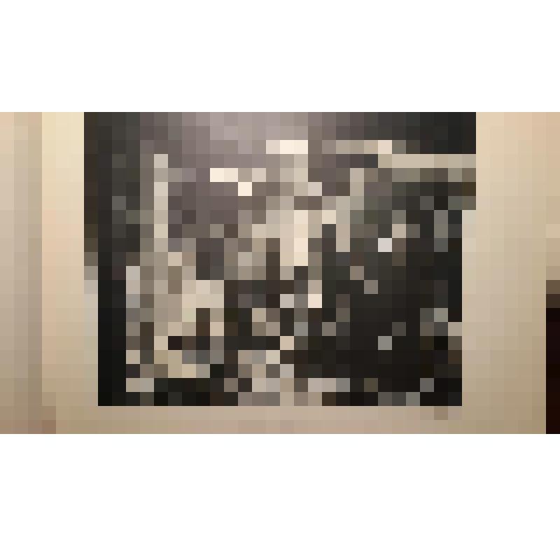 Дом-особняк А.И.Коншиной. Ул. Пречистенка,,16/2. XVIII в. 1867, 1908-1910, 1930 гг. г. Москва. Ул. Пречистенка. Дом-особняк А.И.Коншиной. Альбом. Гунст Анатолий Оттович. Сломка старого дома. Рабочие в помещении со строительным мусором. Фотогр. и худож. фо