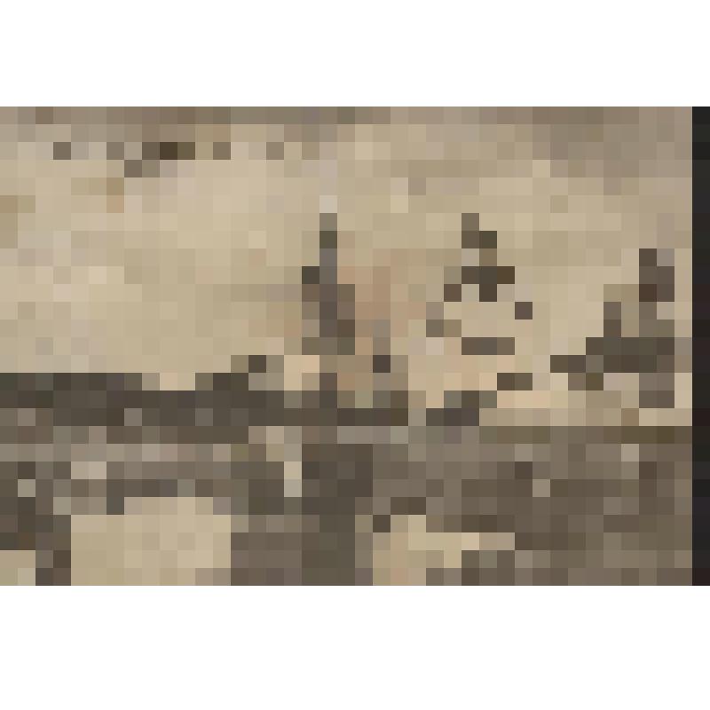 Карточка почтовая. Соликамск, Пермской губ. № 25."Кремль"