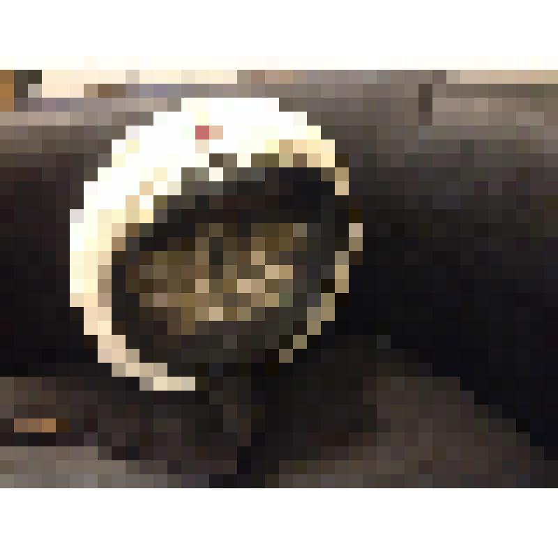 Бескозырка матросская. Дар А.Г. Коонен от моряков Балтийского флота