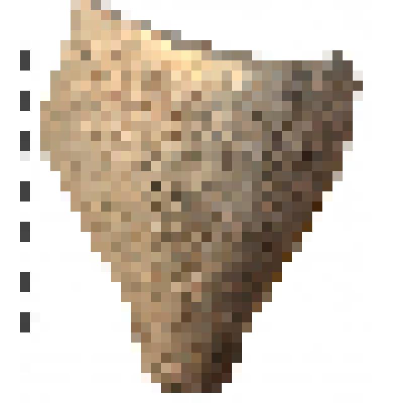 Ножка с придонной частью синопской амфоры