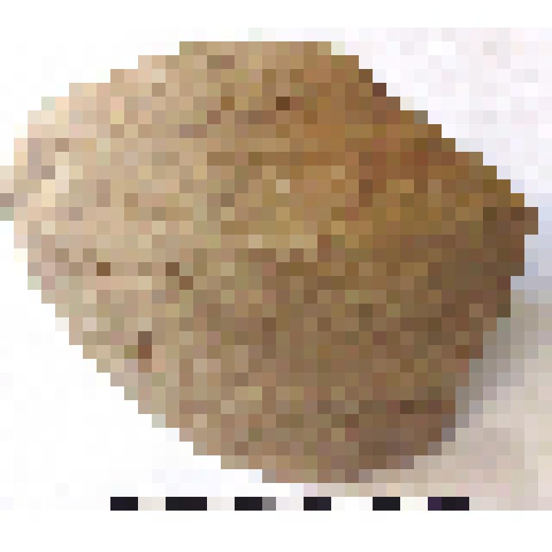 Фрагмент плеча с частью тулова амфоры типа D с дипинто