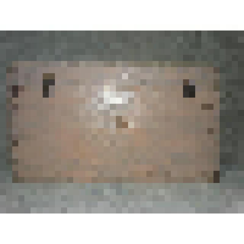 Сундук   светло-коричневого цвета с откидной крышкой. В центре крышки закреплена кожаная ручка